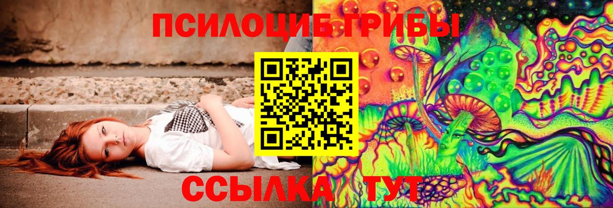 Сызрань  Псилоцибиновые грибы Psilocybine cubensis  Вход с VPN 